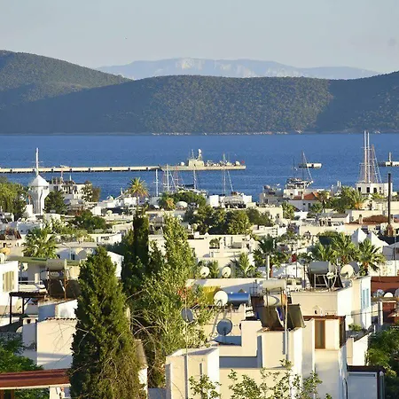 Laden 3* Bodrum